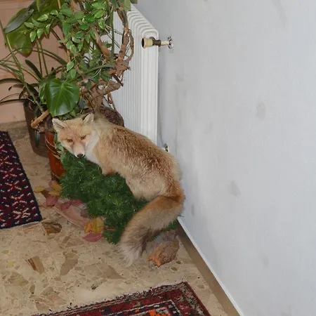 Tirolerhof 호텔 3*