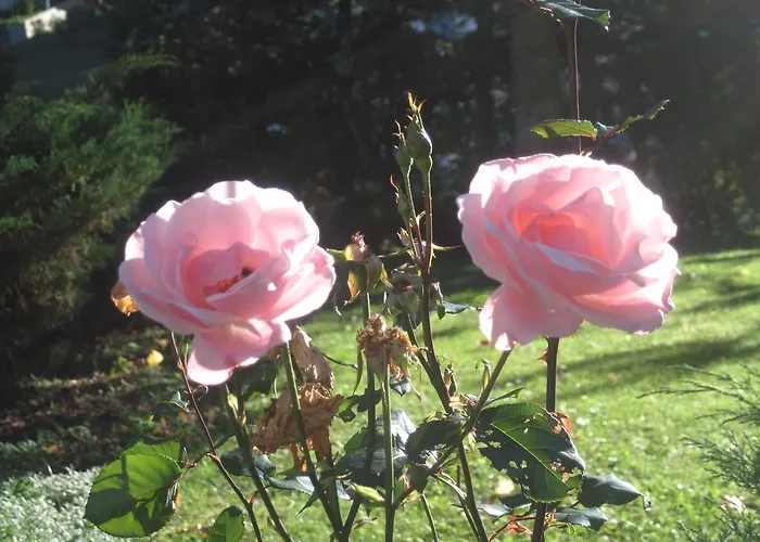 Tirolerhof 3* Lermoos